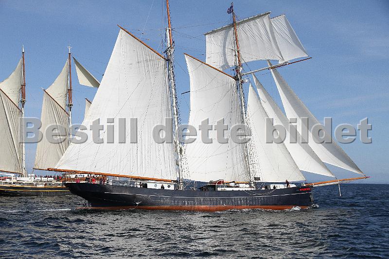 TSR2011_2 505.JPG